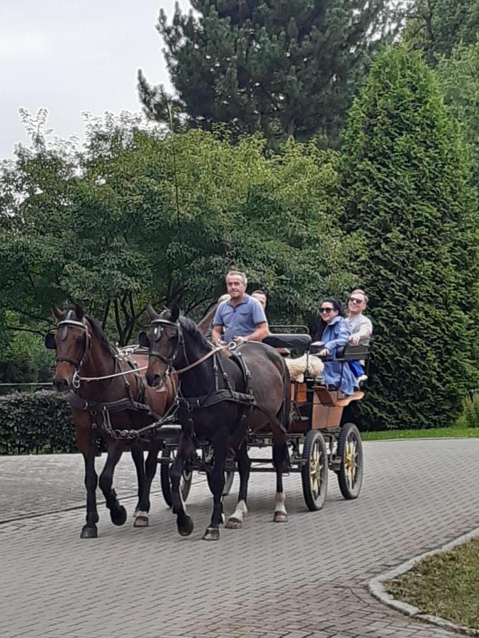 Apartament Der Perfekte Ausgangspunkt Konigerode Zewnętrze zdjęcie