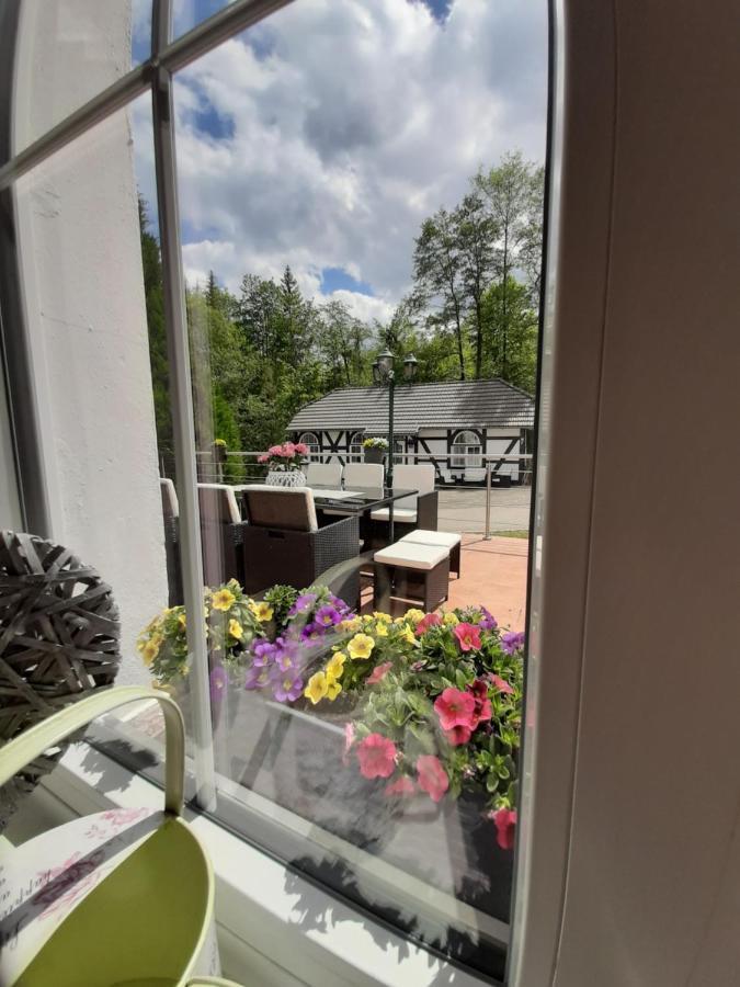 Apartament Der Perfekte Ausgangspunkt Konigerode Zewnętrze zdjęcie
